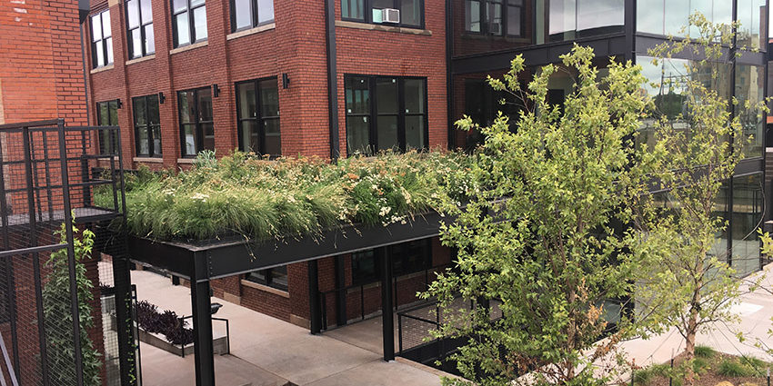 central_exchange_greenery Building